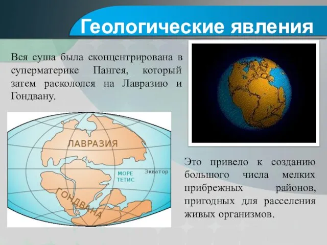 Вся суша была сконцентрирована в суперматерике Пангея, который затем раскололся на Лавразию