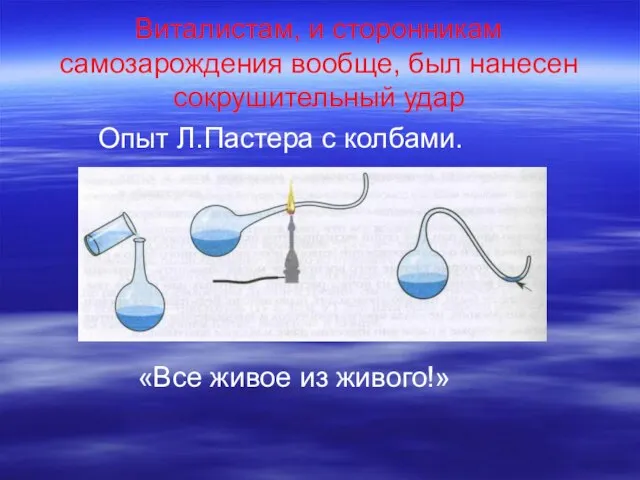 Виталистам, и сторонникам самозарождения вообще, был нанесен сокрушительный удар Опыт Л.Пастера с