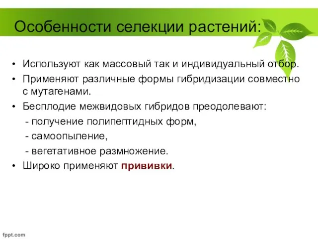 Особенности селекции растений: Используют как массовый так и индивидуальный отбор. Применяют различные