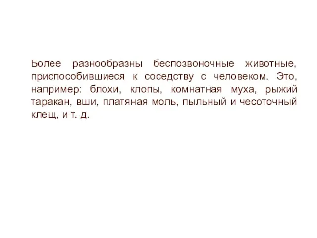 Более разнообразны беспозвоночные животные, приспособившиеся к соседству с человеком. Это, например: блохи,