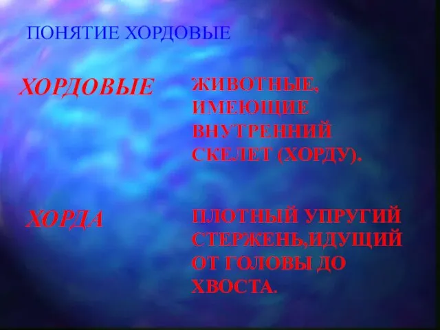 ПОНЯТИЕ ХОРДОВЫЕ