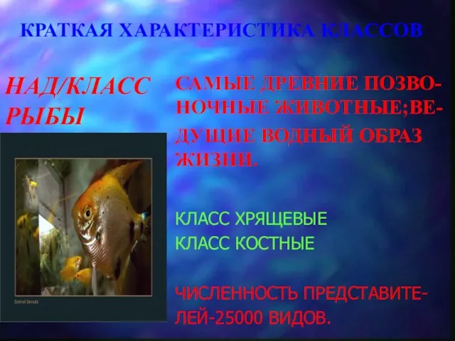 КРАТКАЯ ХАРАКТЕРИСТИКА КЛАССОВ