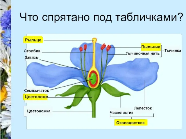 Что спрятано под табличками?