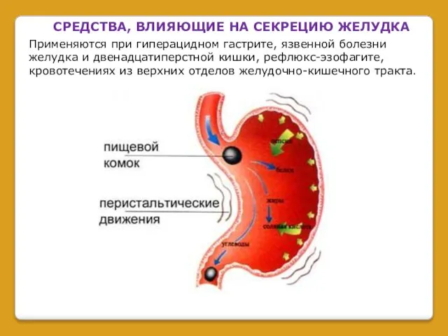 СРЕДСТВА, ВЛИЯЮЩИЕ НА СЕКРЕЦИЮ ЖЕЛУДКА Применяются при гиперацидном гастрите, язвенной болезни желудка