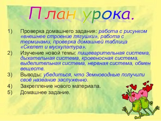 Проверка домашнего задания: работа с рисунком «внешнее строение лягушки», работа с терминами,