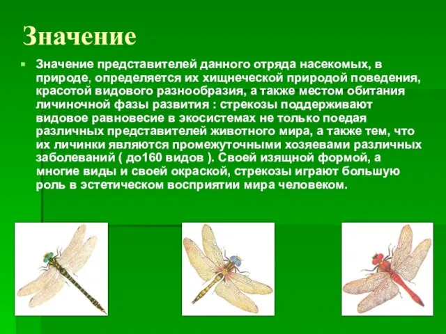 Значение Значение представителей данного отряда насекомых, в природе, определяется их хищнеческой природой