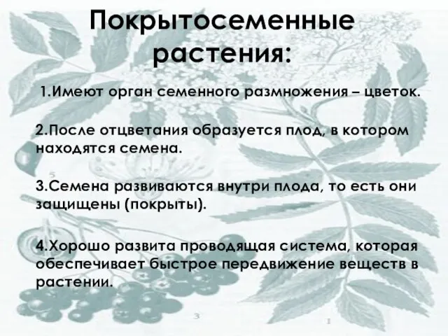 Покрытосеменные растения: 1.Имеют орган семенного размножения – цветок. 2.После отцветания образуется плод,