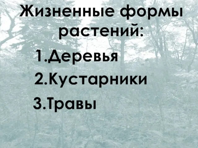 Жизненные формы растений: 1.Деревья 2.Кустарники 3.Травы