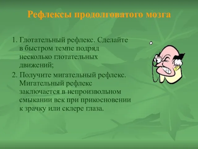 Рефлексы продолговатого мозга 1. Глотательный рефлекс. Сделайте в быстром темпе подряд несколько