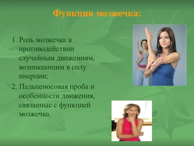 Функции мозжечка: 1. Роль мозжечка в противодействии случайным движениям, возникающим в силу