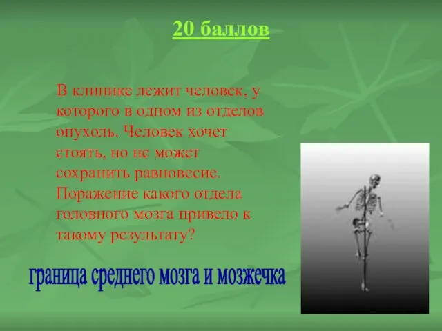 20 баллов В клинике лежит человек, у которого в одном из отделов