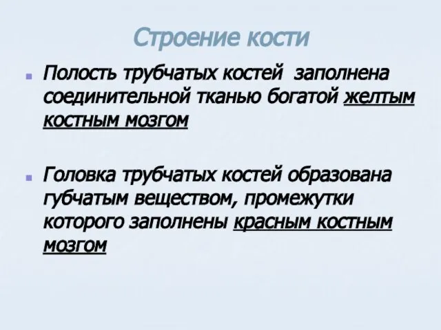 Строение кости Полость трубчатых костей заполнена соединительной тканью богатой желтым костным мозгом