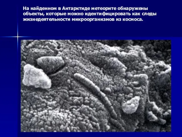 На найденном в Антарктиде метеорите обнаружены объекты, которые можно идентифицировать как следы жизнедеятельности микроорганизмов из космоса.