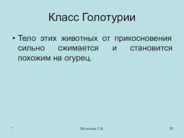 * Яковлева Л.А. Класс Голотурии Тело этих животных от прикосновения сильно сжимается