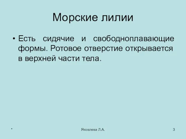 * Яковлева Л.А. Морские лилии Есть сидячие и свободноплавающие формы. Ротовое отверстие