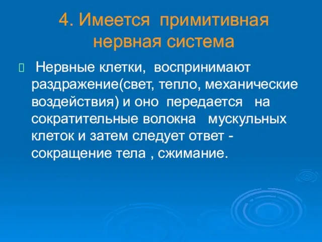 4. Имеется примитивная нервная система Нервные клетки, воспринимают раздражение(свет, тепло, механические воздействия)