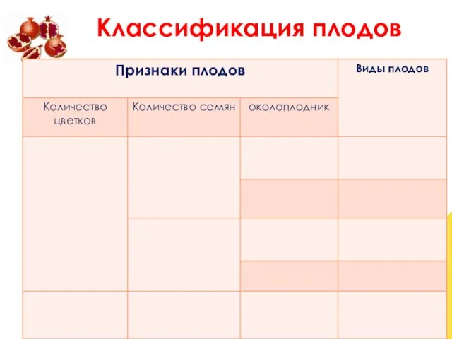 Классификация плодов