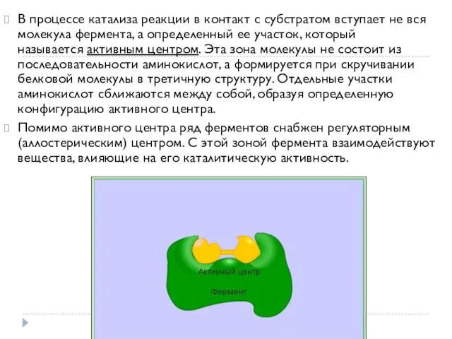 В процессе катализа реакции в контакт с субстратом вступает не вся молекула