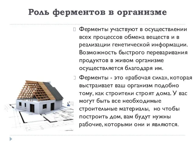 Роль ферментов в организме Ферменты участвуют в осуществлении всех процессов обмена веществ