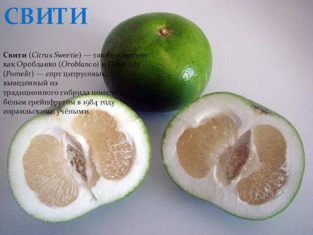 свити Свити (Citrus Sweetie) — также известен как Оробланко (Oroblanco) и Помелит