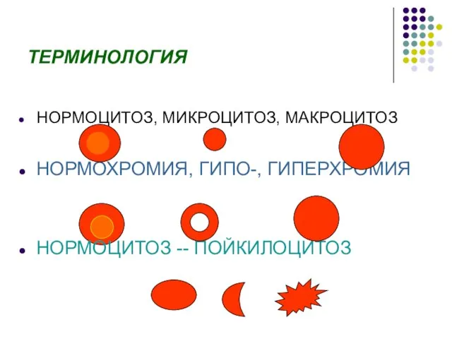 ТЕРМИНОЛОГИЯ НОРМОЦИТОЗ, МИКРОЦИТОЗ, МАКРОЦИТОЗ НОРМОХРОМИЯ, ГИПО-, ГИПЕРХРОМИЯ НОРМОЦИТОЗ -- ПОЙКИЛОЦИТОЗ