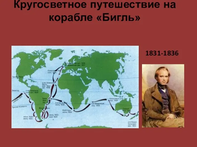 Кругосветное путешествие на корабле «Бигль» 1831-1836