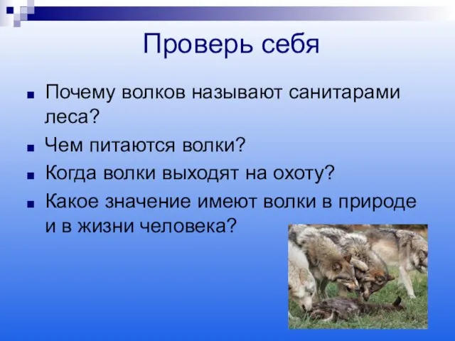 Проверь себя Почему волков называют санитарами леса? Чем питаются волки? Когда волки