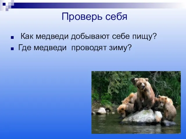 Проверь себя Как медведи добывают себе пищу? Где медведи проводят зиму?