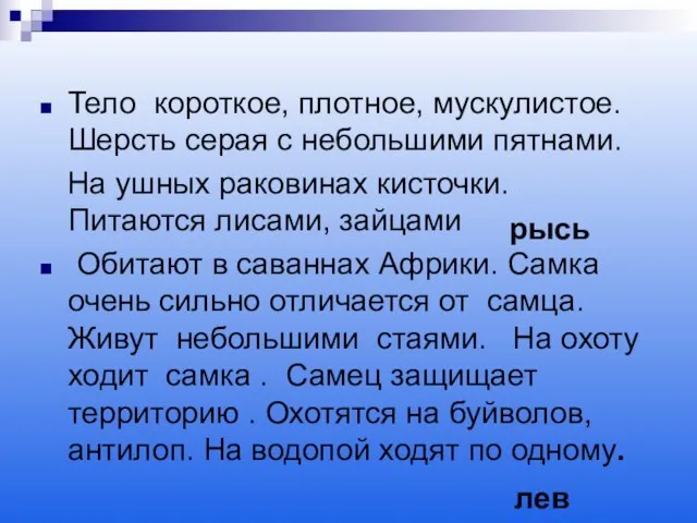 Тело короткое, плотное, мускулистое. Шерсть серая с небольшими пятнами. На ушных раковинах