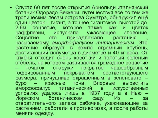 Спустя 60 лет после открытия Арнольди итальянский ботаник Одорадо Беккери, путешествуя всё