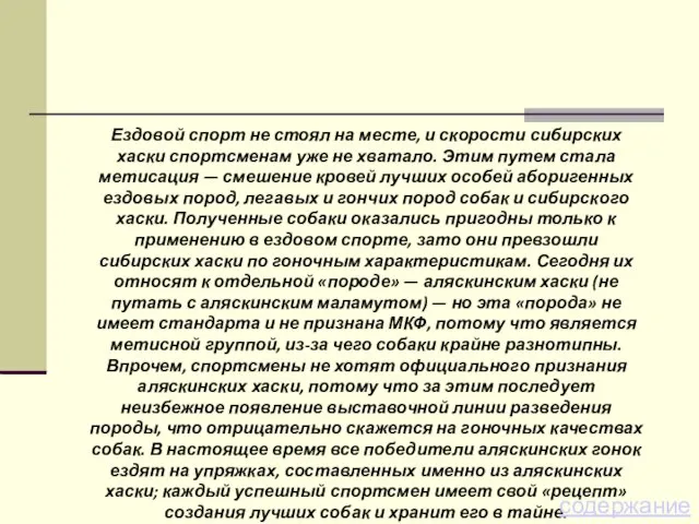 Ездовой спорт не стоял на месте, и скорости сибирских хаски спортсменам уже