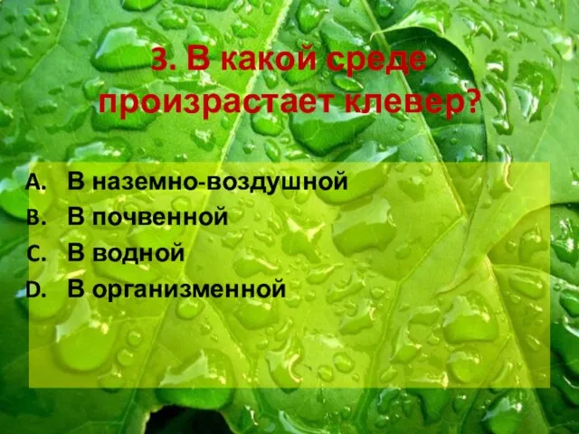 3. В какой среде произрастает клевер? В наземно-воздушной В почвенной В водной В организменной