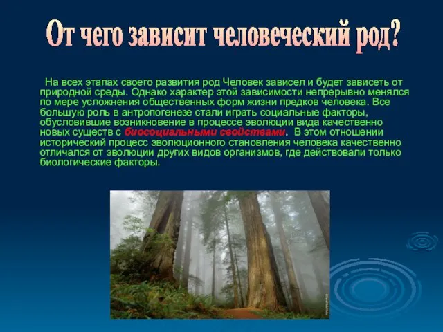 На всех этапах своего развития род Человек зависел и будет зависеть от