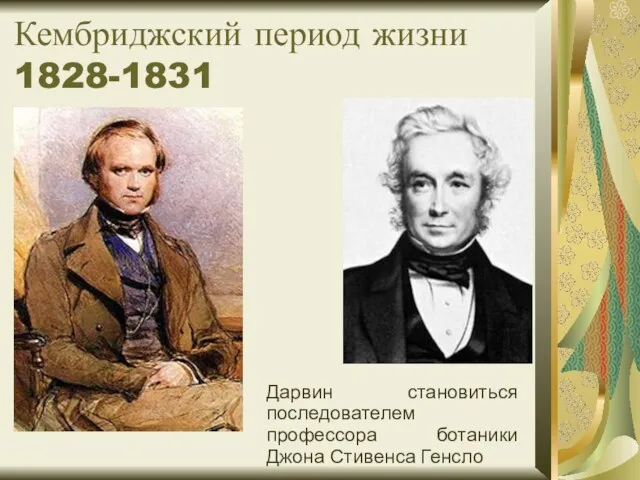 Кембриджский период жизни 1828-1831 Дарвин становиться последователем профессора ботаники Джона Стивенса Генсло