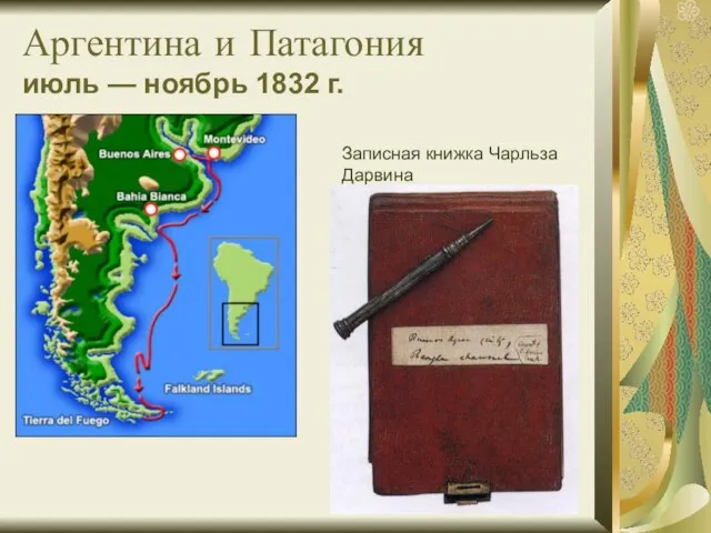 Аргентина и Патагония июль — ноябрь 1832 г. Записная книжка Чарльза Дарвина