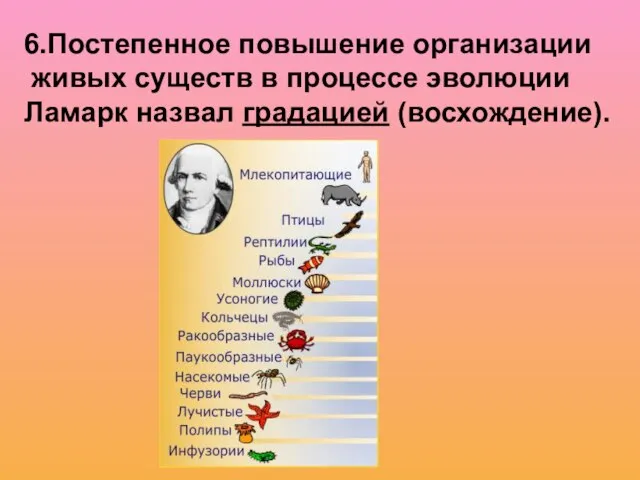 6.Постепенное повышение организации живых существ в процессе эволюции Ламарк назвал градацией (восхождение).