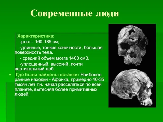 Современные люди Характеристика: -рост - 160-185 см; -длинные, тонкие конечности, большая поверхность