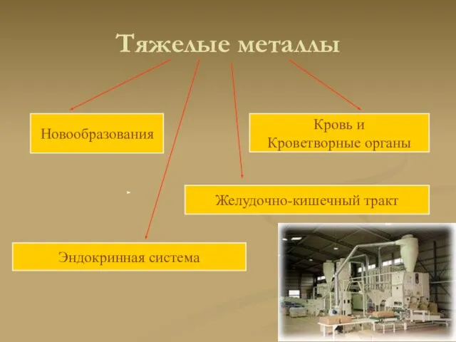 Тяжелые металлы Новообразования Желудочно-кишечный тракт Кровь и Кроветворные органы Эндокринная система