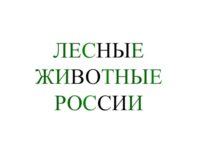 Презентация на тему ЛЕСНЫЕ ЖИВОТНЫЕ РОССИИ