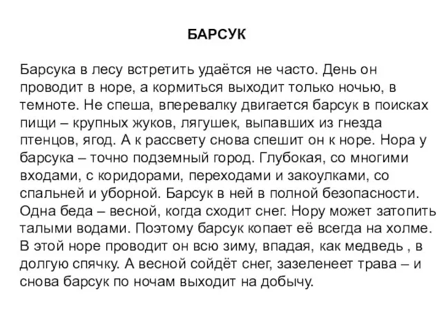 БАРСУК Барсука в лесу встретить удаётся не часто. День он проводит в