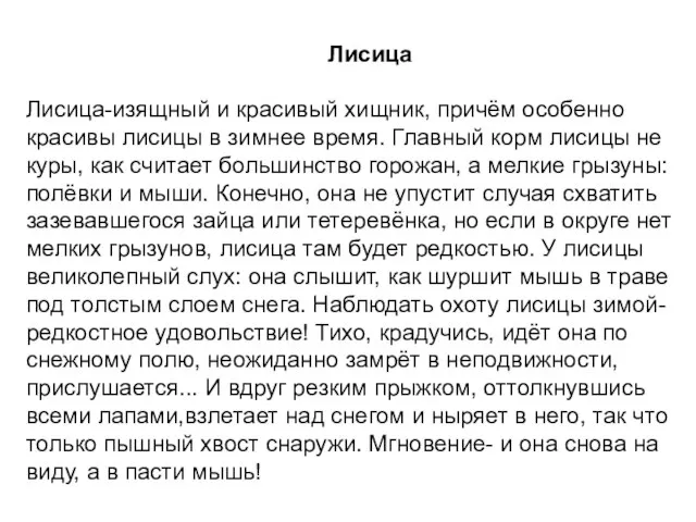 Лисица Лисица-изящный и красивый хищник, причём особенно красивы лисицы в зимнее время.