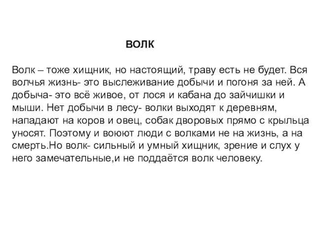 ВОЛК Волк – тоже хищник, но настоящий, траву есть не будет. Вся