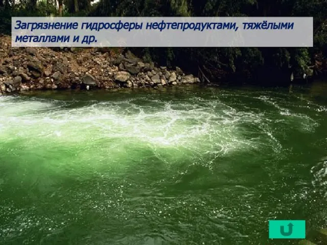 Загрязнение гидросферы нефтепродуктами, тяжёлыми металлами и др.