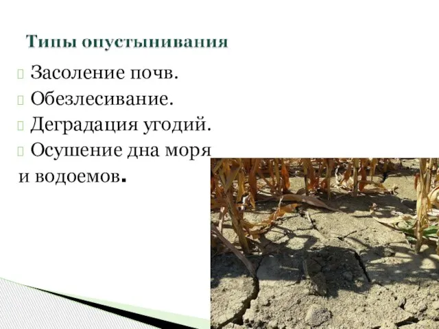 Засоление почв. Обезлесивание. Деградация угодий. Осушение дна моря и водоемов.