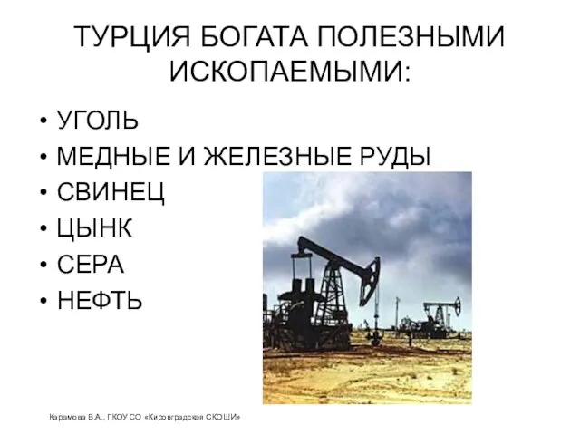 ТУРЦИЯ БОГАТА ПОЛЕЗНЫМИ ИСКОПАЕМЫМИ: УГОЛЬ МЕДНЫЕ И ЖЕЛЕЗНЫЕ РУДЫ СВИНЕЦ ЦЫНК СЕРА