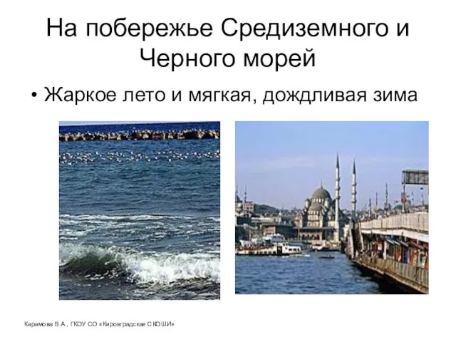 На побережье Средиземного и Черного морей Жаркое лето и мягкая, дождливая зима