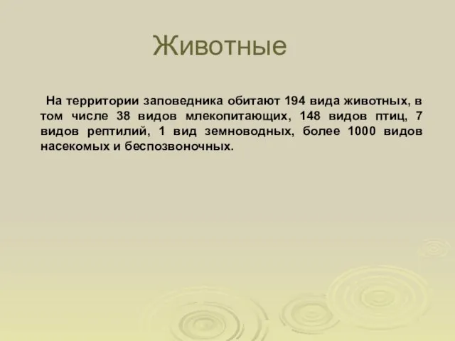 Животные На территории заповедника обитают 194 вида животных, в том числе 38