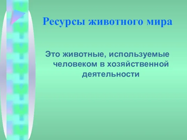 Ресурсы животного мира Это животные, используемые человеком в хозяйственной деятельности