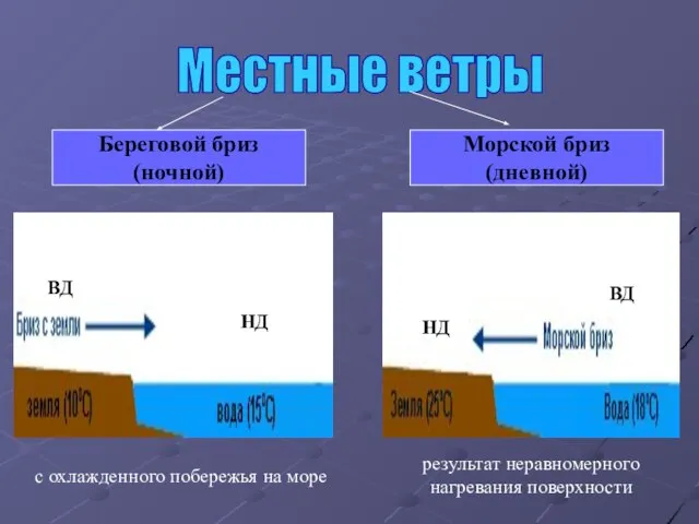 Местные ветры Береговой бриз (ночной) Морской бриз (дневной) с охлажденного побережья на