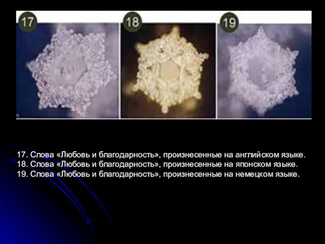 17. Слова «Любовь и благодарность», произнесенные на английском языке. 18. Слова «Любовь